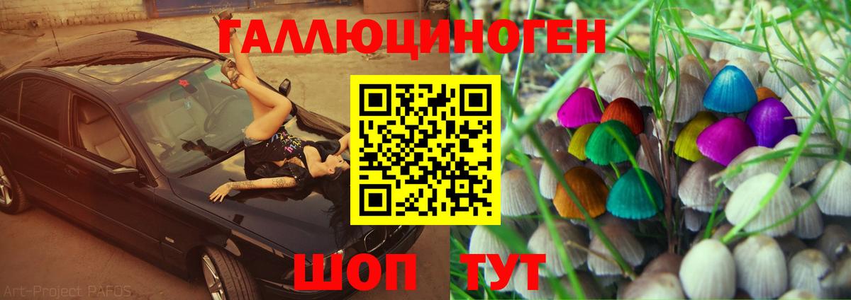 Владикавказ  Псилоцибиновые грибы Psilocybine cubensis  Вход с VPN 