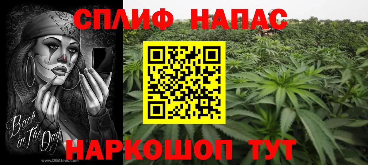 Канабис марихуана Владикавказ